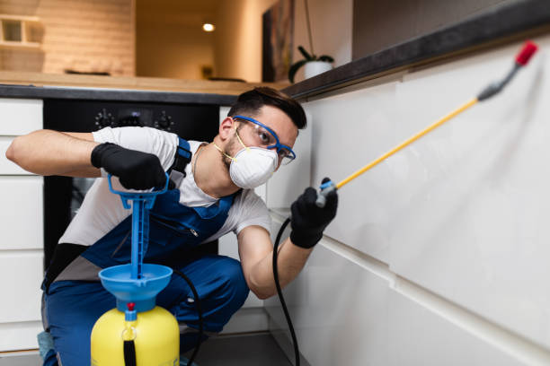Best Rat Extermination Near Me  in River Grove, IL